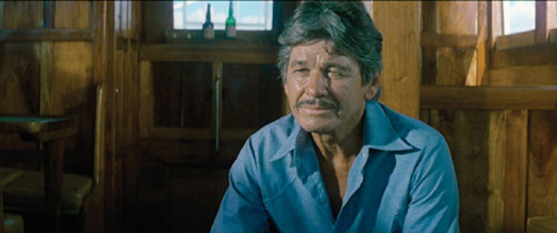 Charles Bronson in Der Schatz von Caboblanco