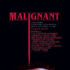 Malignant von James Wan