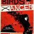 "the Birds of Anger" (2011)