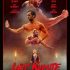 The Last Kumite Filmposter